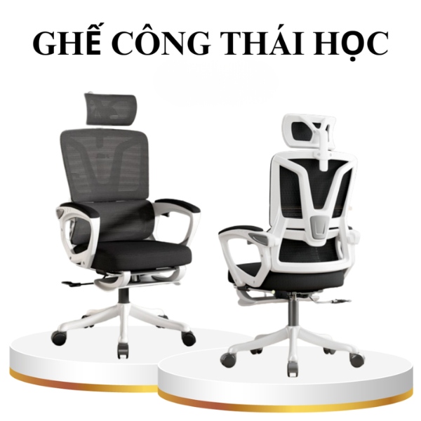 Ghế công thái học quốc dân cho sinh viên, nhân viên văn phòng: SG - 1039 - $hienthicat